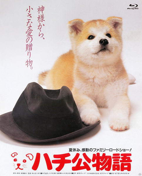 一直牛配资 《忠犬八公》票房破亿，这个人与狗的老故事为何依然感人