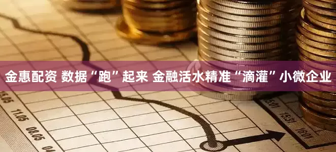 金惠配资 数据“跑”起来 金融活水精准“滴灌”小微企业