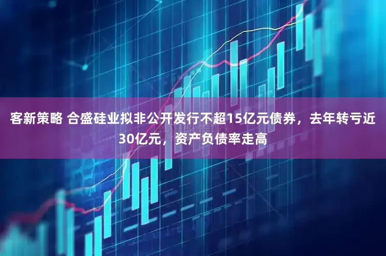 客新策略 合盛硅业拟非公开发行不超15亿元债券，去年转亏近30亿元，资产负债率走高