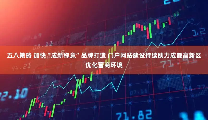 五八策略 加快“成新称意”品牌打造 门户网站建设持续助力成都高新区优化营商环境